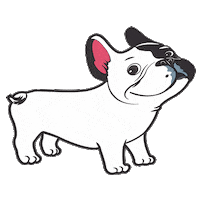 vetclinic nacho veterinaria nadia nachito Sticker